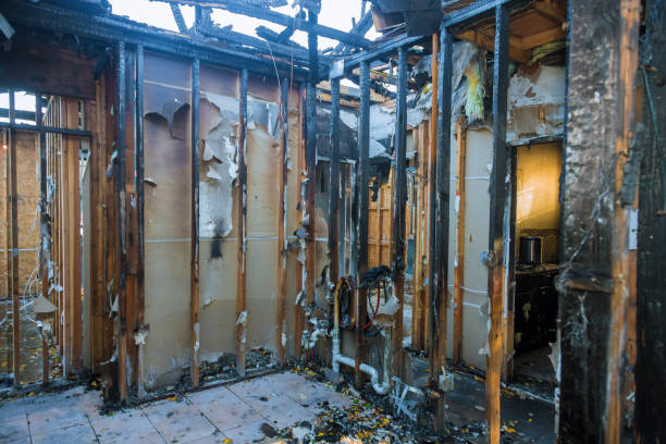 Professional Fire Damage Removal technician working in Marco Island, FL